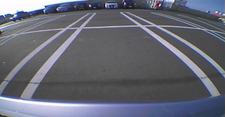 Rear View Camera Input with Parking Guidelines
