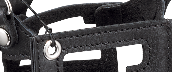Cases and Belt Hooks